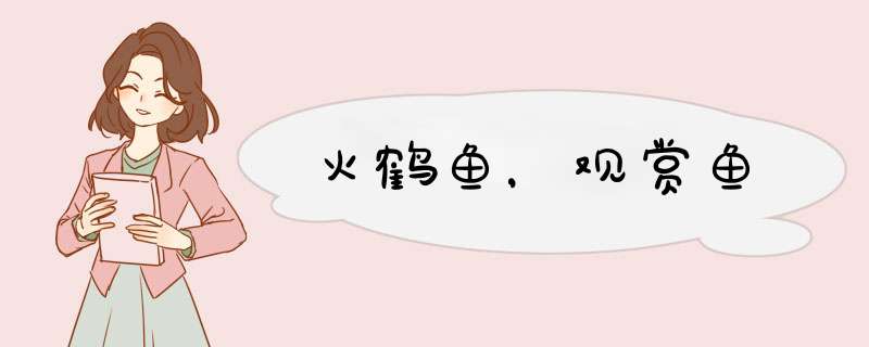 火鹤鱼，观赏鱼,第1张