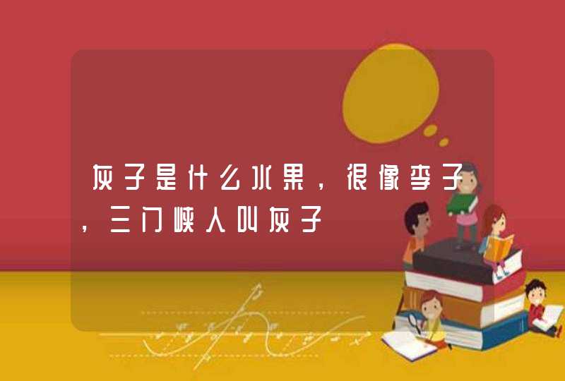 灰子是什么水果，很像李子，三门峡人叫灰子,第1张