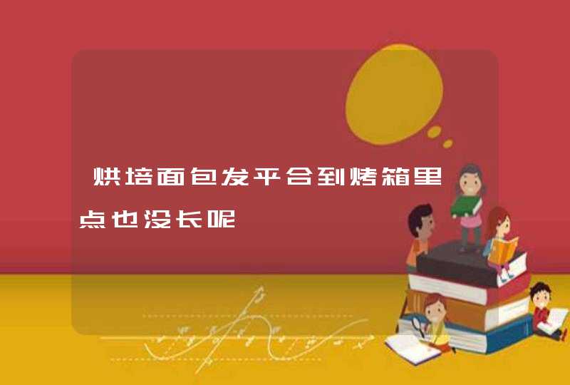 烘培面包发平合到烤箱里一点也没长呢,第1张