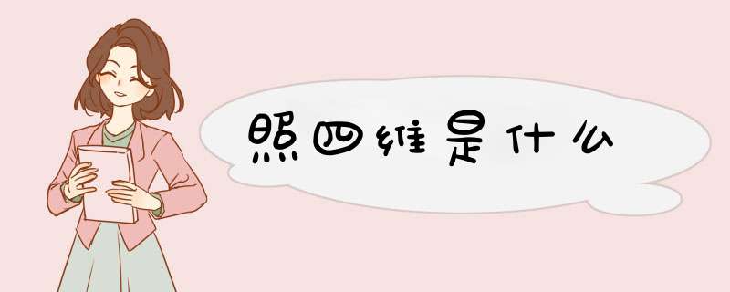 照四维是什么,第1张