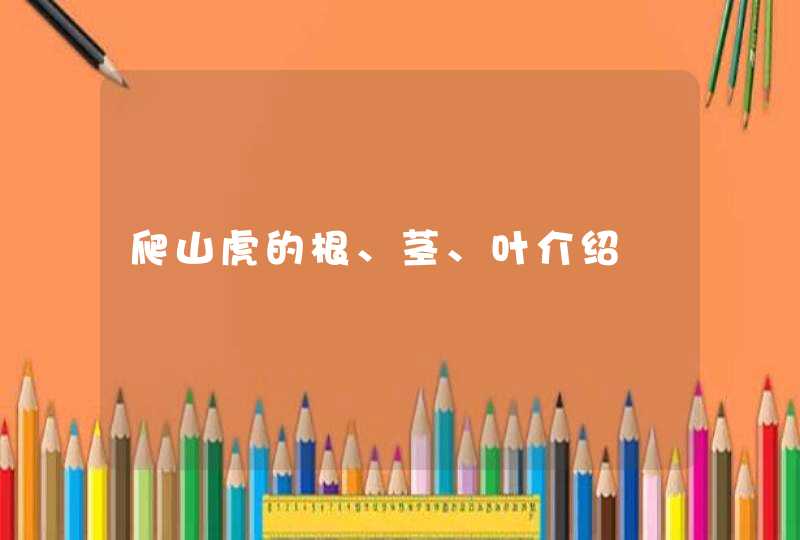 爬山虎的根、茎、叶介绍,第1张