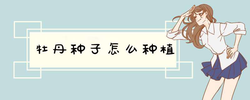 牡丹种子怎么种植,第1张