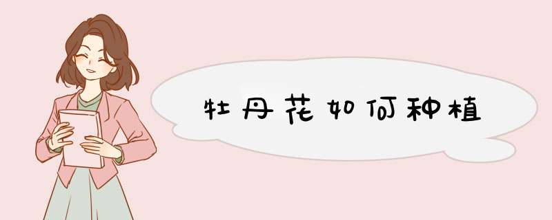 牡丹花如何种植,第1张