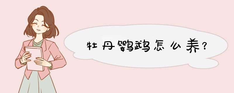 牡丹鹦鹉怎么养？,第1张