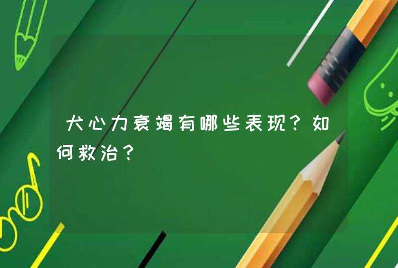 犬心力衰竭有哪些表现？如何救治？,第1张