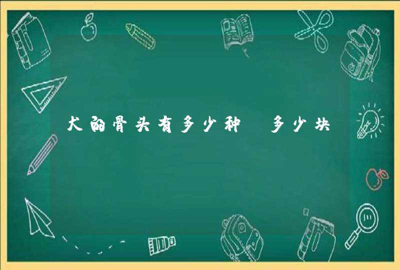 犬的骨头有多少种，多少块？,第1张