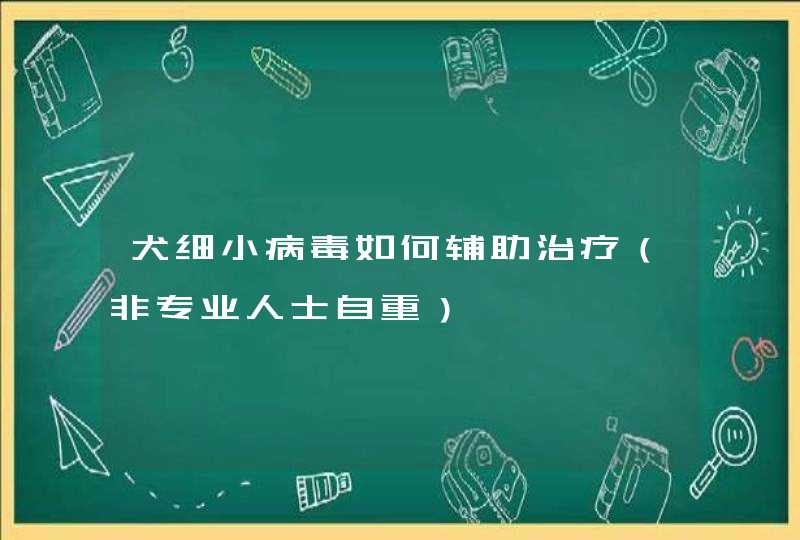 犬细小病毒如何辅助治疗（非专业人士自重）,第1张