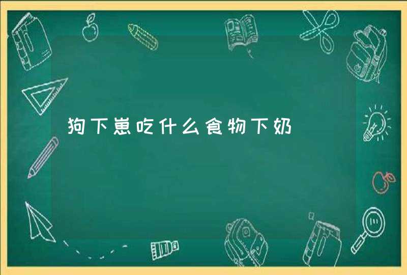 狗下崽吃什么食物下奶,第1张