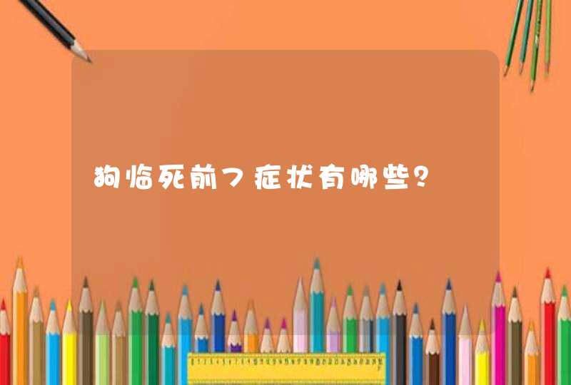 狗临死前7症状有哪些？,第1张