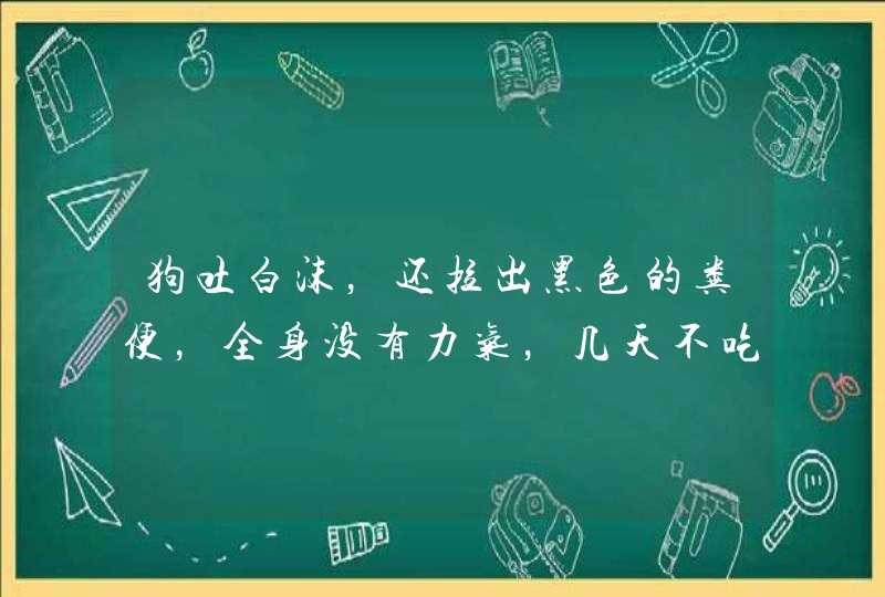 狗吐白沫，还拉出黑色的粪便，全身没有力气，几天不吃饭这是怎么回事啊？,第1张