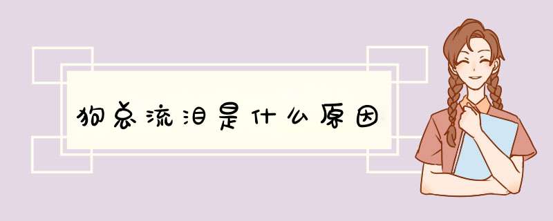 狗总流泪是什么原因,第1张