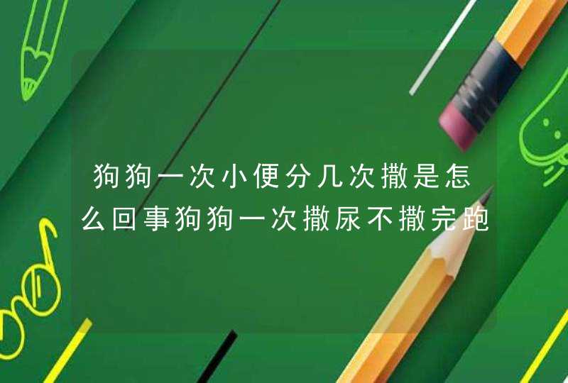 狗狗一次小便分几次撒是怎么回事狗狗一次撒尿不撒完跑到其它地方在撒是怎么回事,第1张