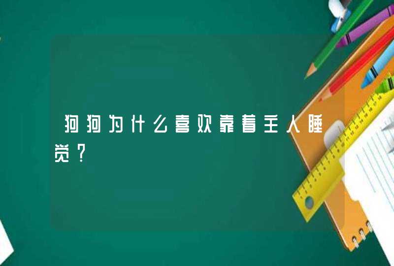 狗狗为什么喜欢靠着主人睡觉？,第1张