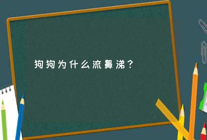 狗狗为什么流鼻涕？,第1张