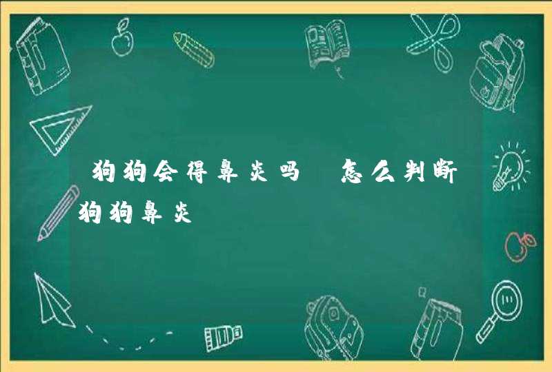 狗狗会得鼻炎吗？怎么判断狗狗鼻炎？,第1张