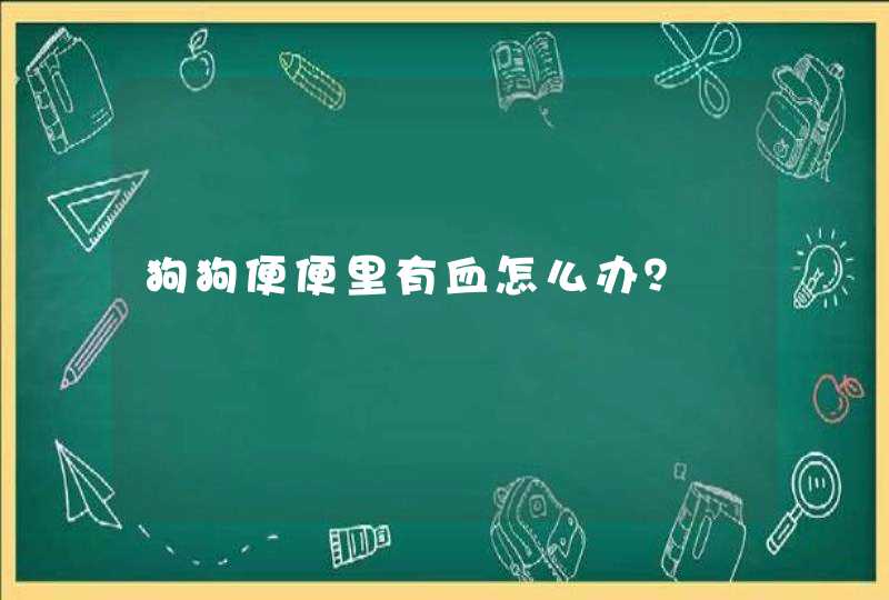 狗狗便便里有血怎么办？,第1张