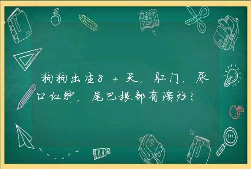 狗狗出生8 天，肛门，尿口红肿，尾巴根部有溃烂？,第1张