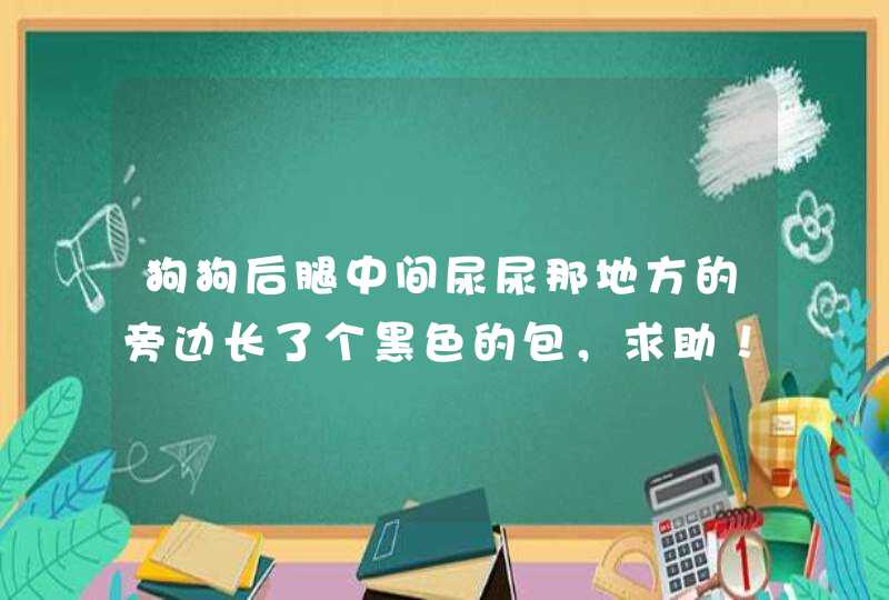 狗狗后腿中间尿尿那地方的旁边长了个黑色的包，求助！,第1张