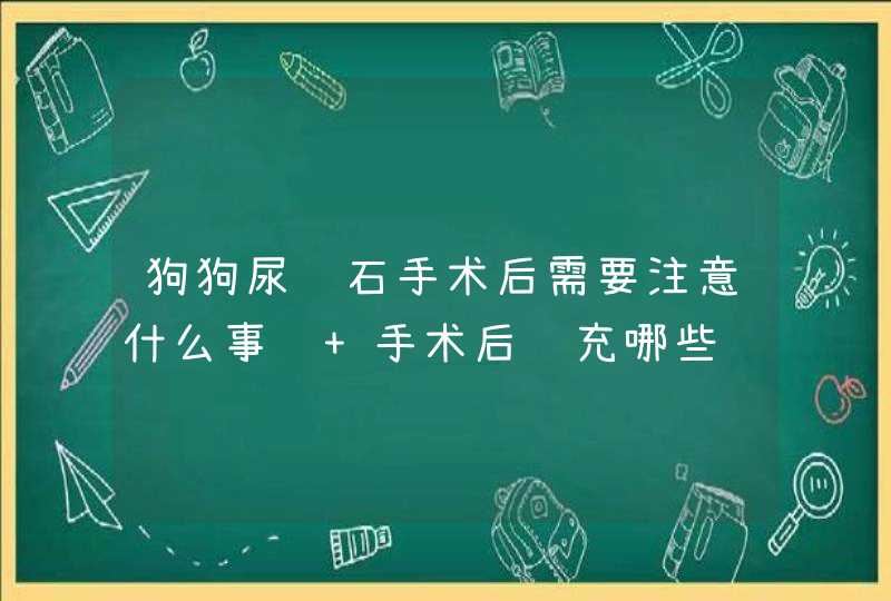 狗狗尿结石手术后需要注意什么事项 手术后补充哪些营养比较好呢,第1张