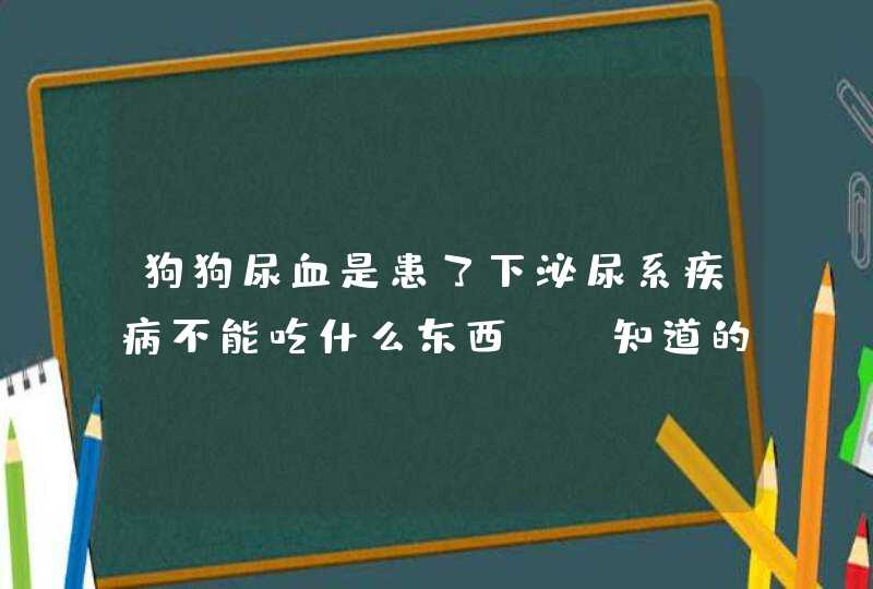 狗狗尿血是患了下泌尿系疾病不能吃什么东西? 知道的说一下 谢谢,第1张