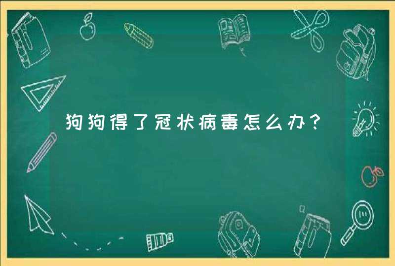 狗狗得了冠状病毒怎么办？,第1张