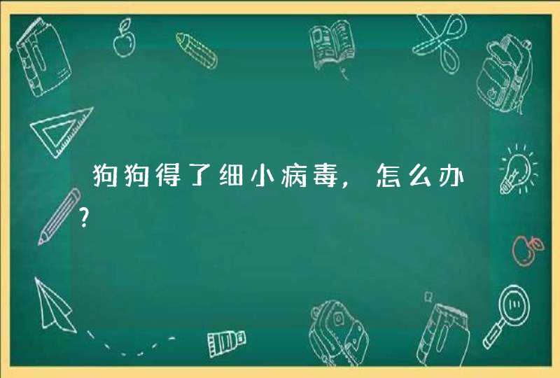 狗狗得了细小病毒,怎么办？,第1张