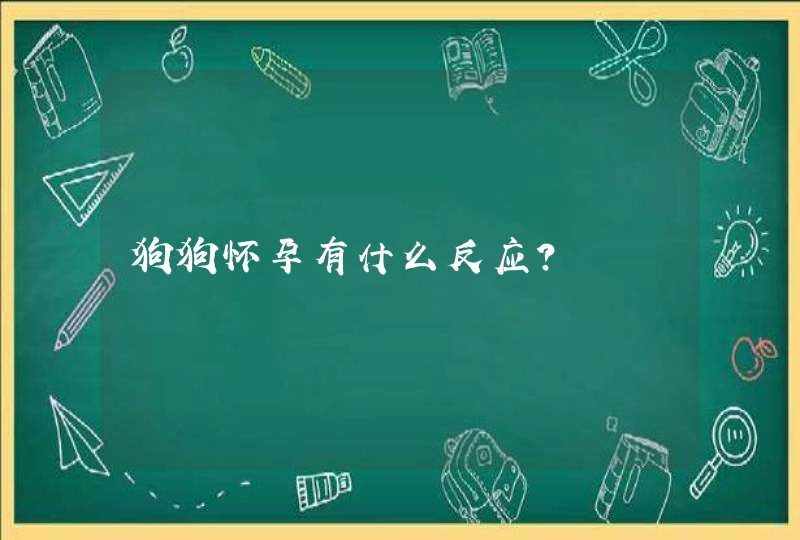 狗狗怀孕有什么反应？,第1张