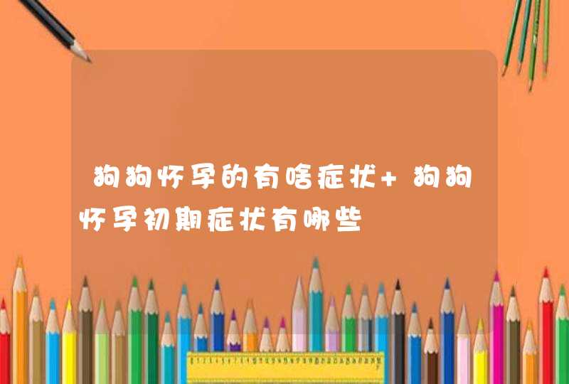 狗狗怀孕的有啥症状 狗狗怀孕初期症状有哪些,第1张