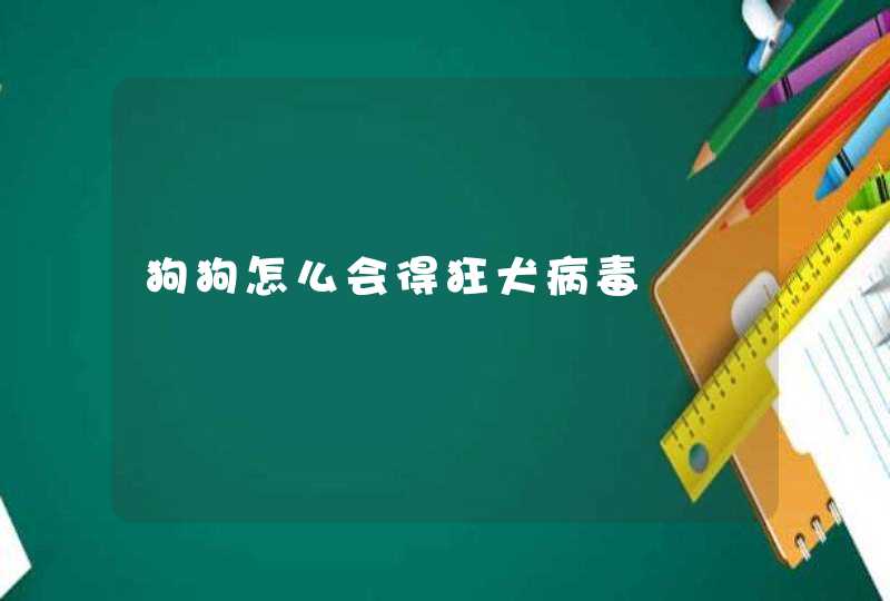 狗狗怎么会得狂犬病毒,第1张