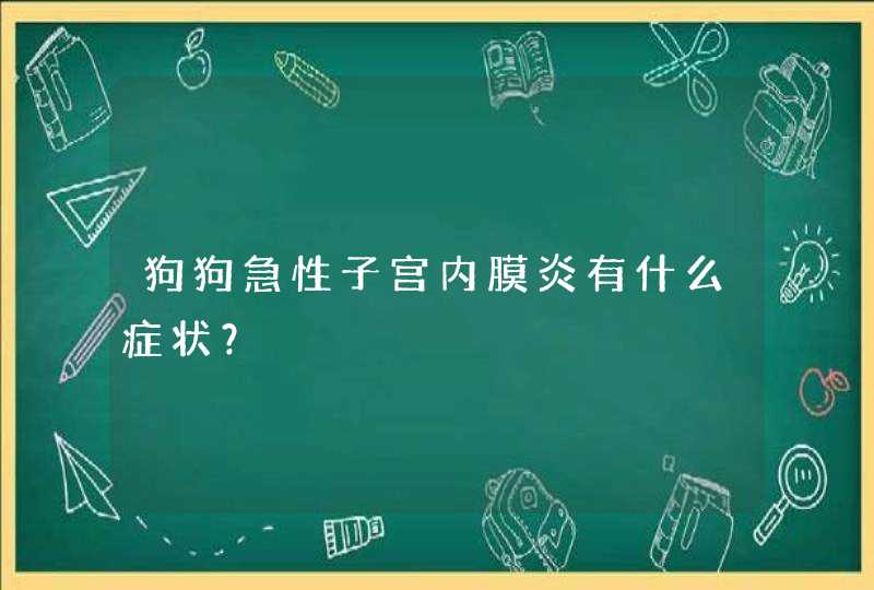 狗狗急性子宫内膜炎有什么症状？,第1张