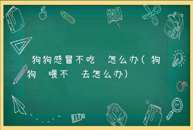 狗狗感冒不吃药怎么办(狗狗药喂不进去怎么办),第1张