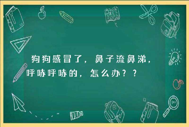 狗狗感冒了，鼻子流鼻涕，呼哧呼哧的，怎么办？？,第1张