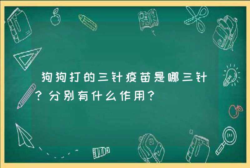 狗狗打的三针疫苗是哪三针？分别有什么作用？,第1张