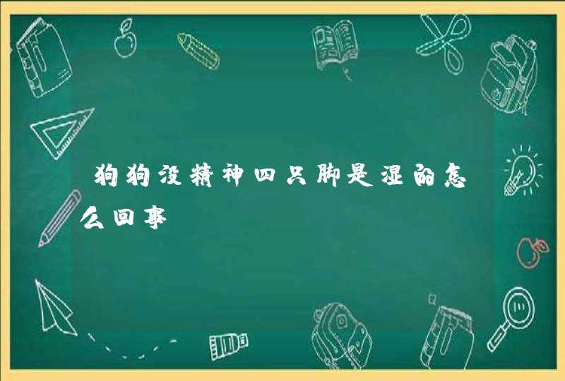 狗狗没精神四只脚是湿的怎么回事？,第1张