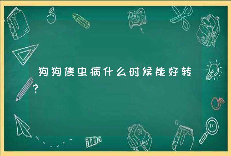 狗狗焦虫病什么时候能好转？,第1张