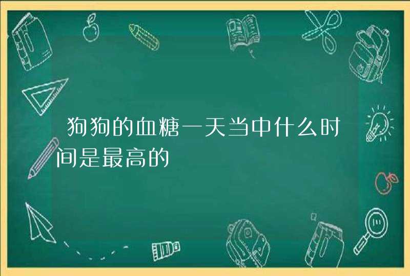 狗狗的血糖一天当中什么时间是最高的,第1张