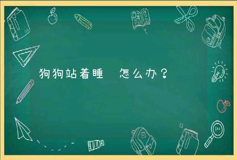 狗狗站着睡觉怎么办？,第1张