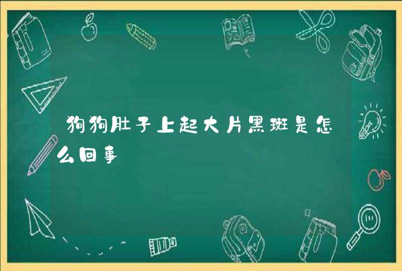 狗狗肚子上起大片黑斑是怎么回事,第1张