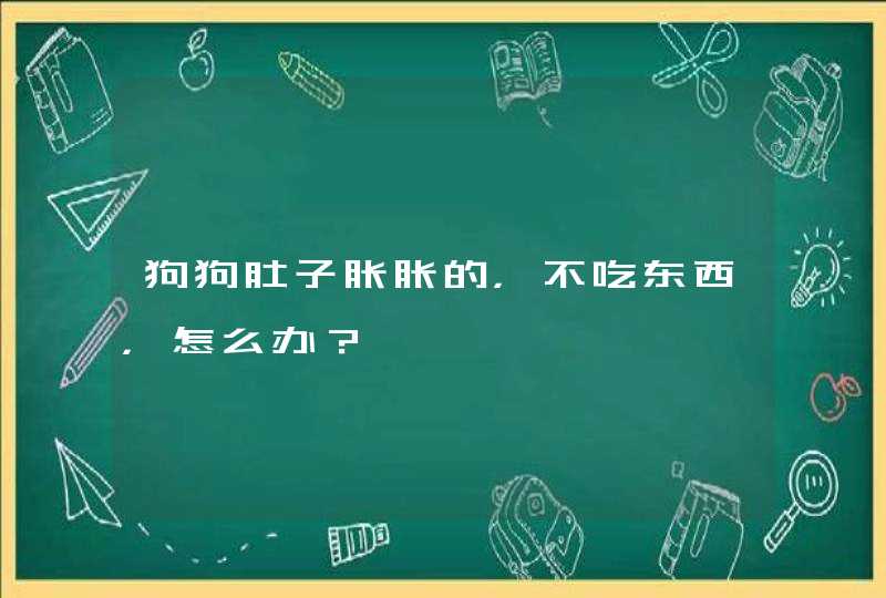 狗狗肚子胀胀的，不吃东西，怎么办？,第1张