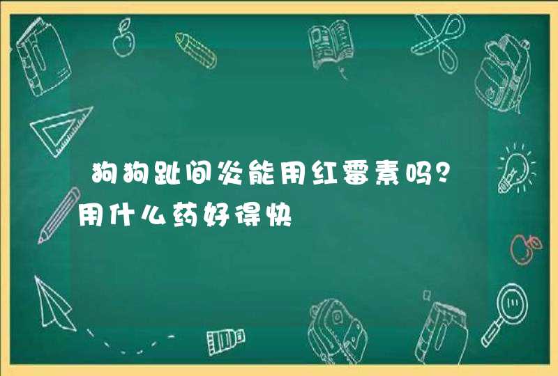 狗狗趾间炎能用红霉素吗？用什么药好得快,第1张