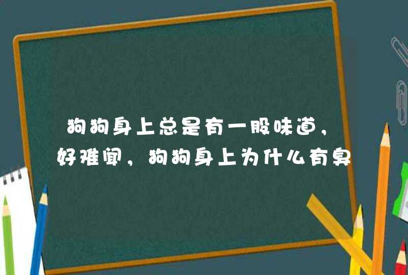 狗狗身上总是有一股味道，好难闻，狗狗身上为什么有臭味?,第1张