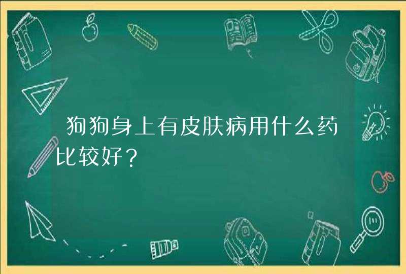 狗狗身上有皮肤病用什么药比较好？,第1张