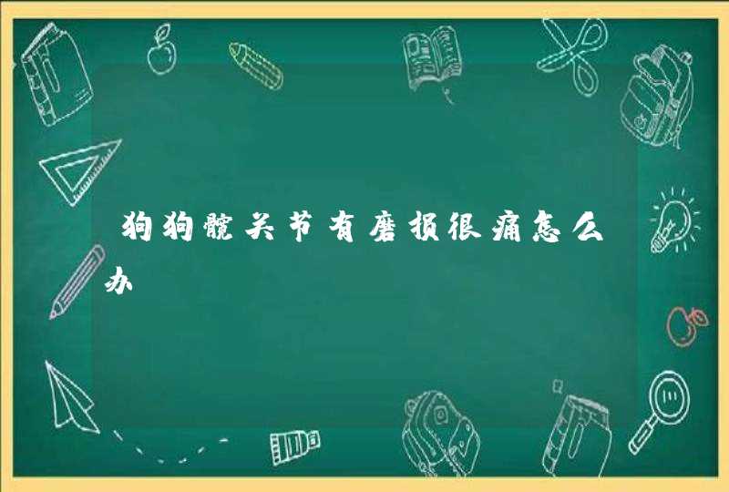 狗狗髋关节有磨损很痛怎么办,第1张