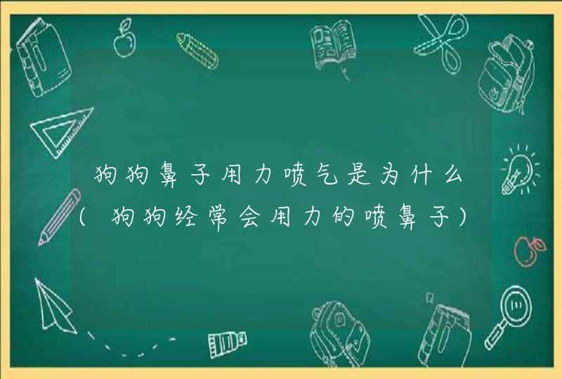 狗狗鼻子用力喷气是为什么(狗狗经常会用力的喷鼻子),第1张