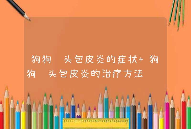 狗狗龟头包皮炎的症状 狗狗龟头包皮炎的治疗方法,第1张