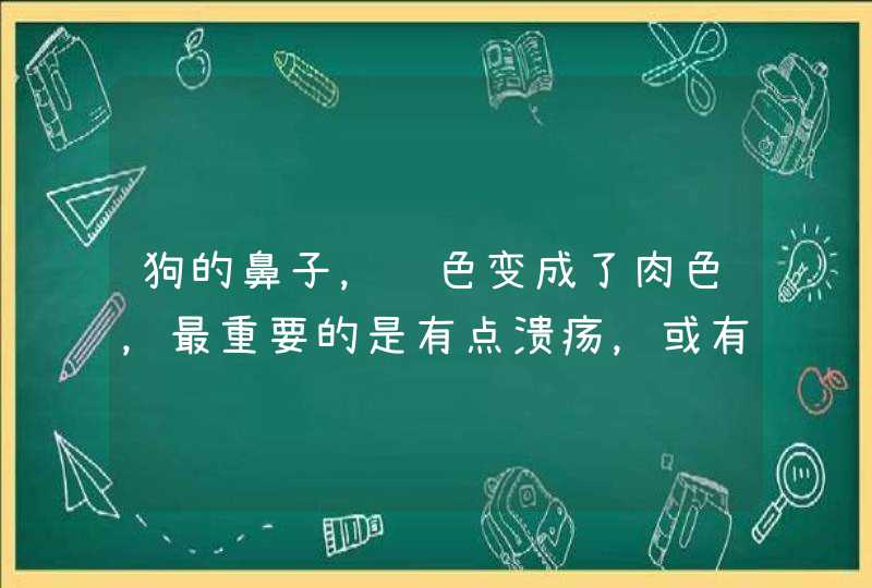 狗的鼻子，颜色变成了肉色，最重要的是有点溃疡，或有点烂了，是什么原因，买点什么药？谢谢！,第1张