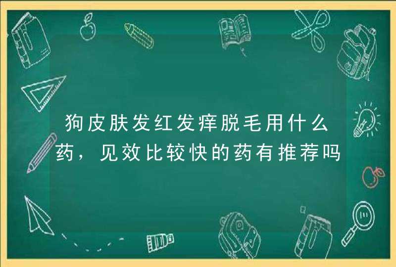 狗皮肤发红发痒脱毛用什么药，见效比较快的药有推荐吗？,第1张