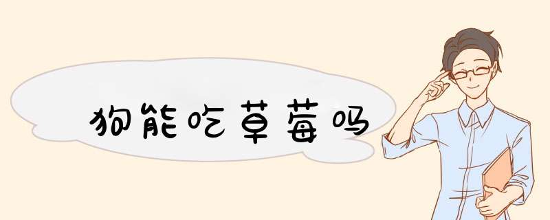 狗能吃草莓吗,第1张