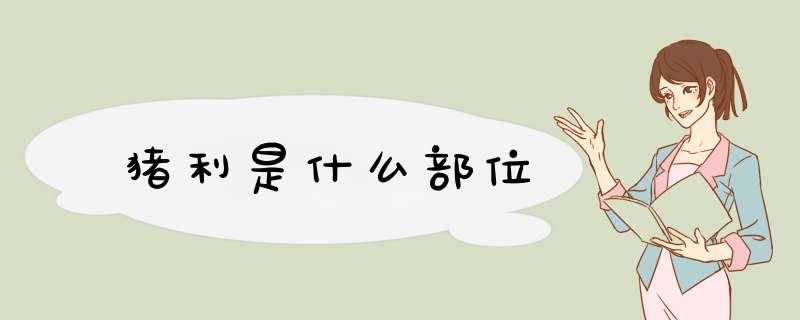 猪利是什么部位,第1张 猪利是什么部位,第1张