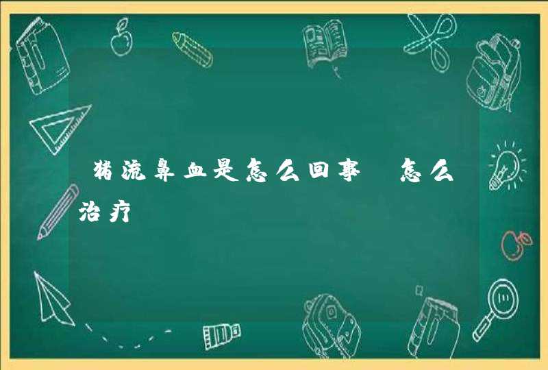 猪流鼻血是怎么回事？怎么治疗？,第1张